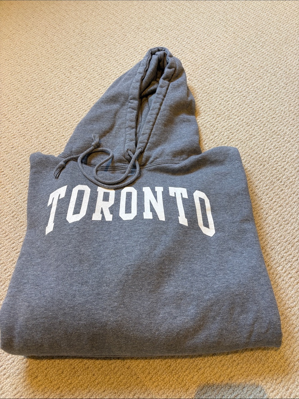 Brandy Melville Oversized Toronto Grey Hooded Sweatshirt